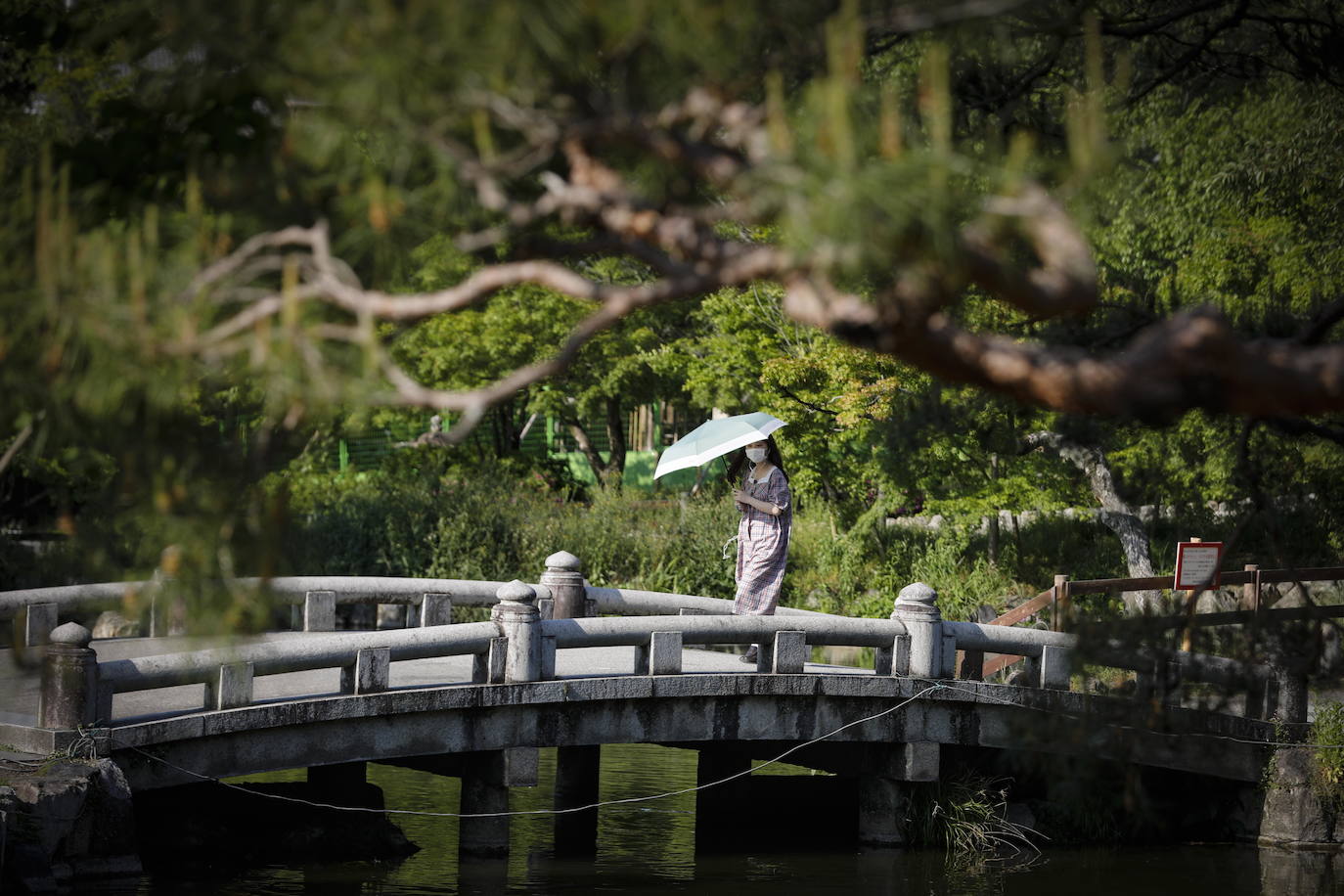 Las calles de la antigua ciudad de Kyoto, en Japón, permanecen desérticas ante la alarma desatada por el coronavirus. Algunos de sus puntos más concurridos, llenos habitualmente de turistas y visitantes, se muestran ahora vacíos, con una quietud en la que destaca aún más la belleza del lugar. 