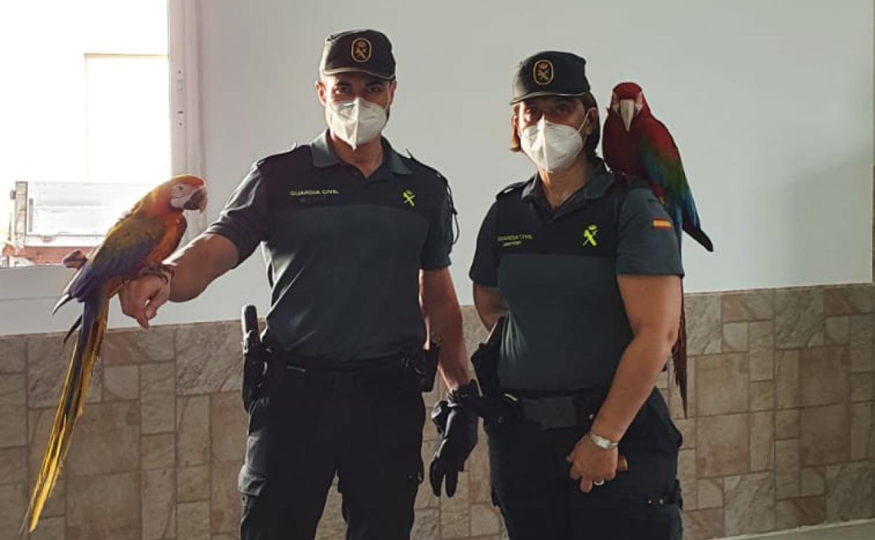 Los agentes con el animal recuperado. 