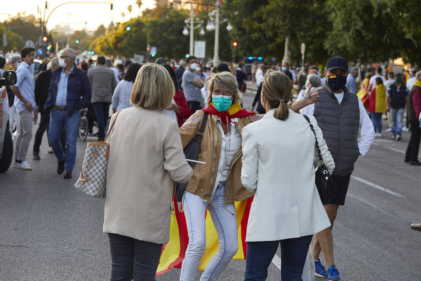 Fotos: Nuevas protestas contra el Gobierno en el paseo de la Alameda