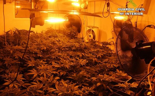 Desarticulan un punto de venta de drogas a menores de edad en Rojales 