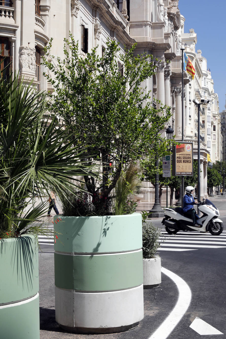 Fotos: Maceteros de la plaza del Ayuntamiento de Valencia