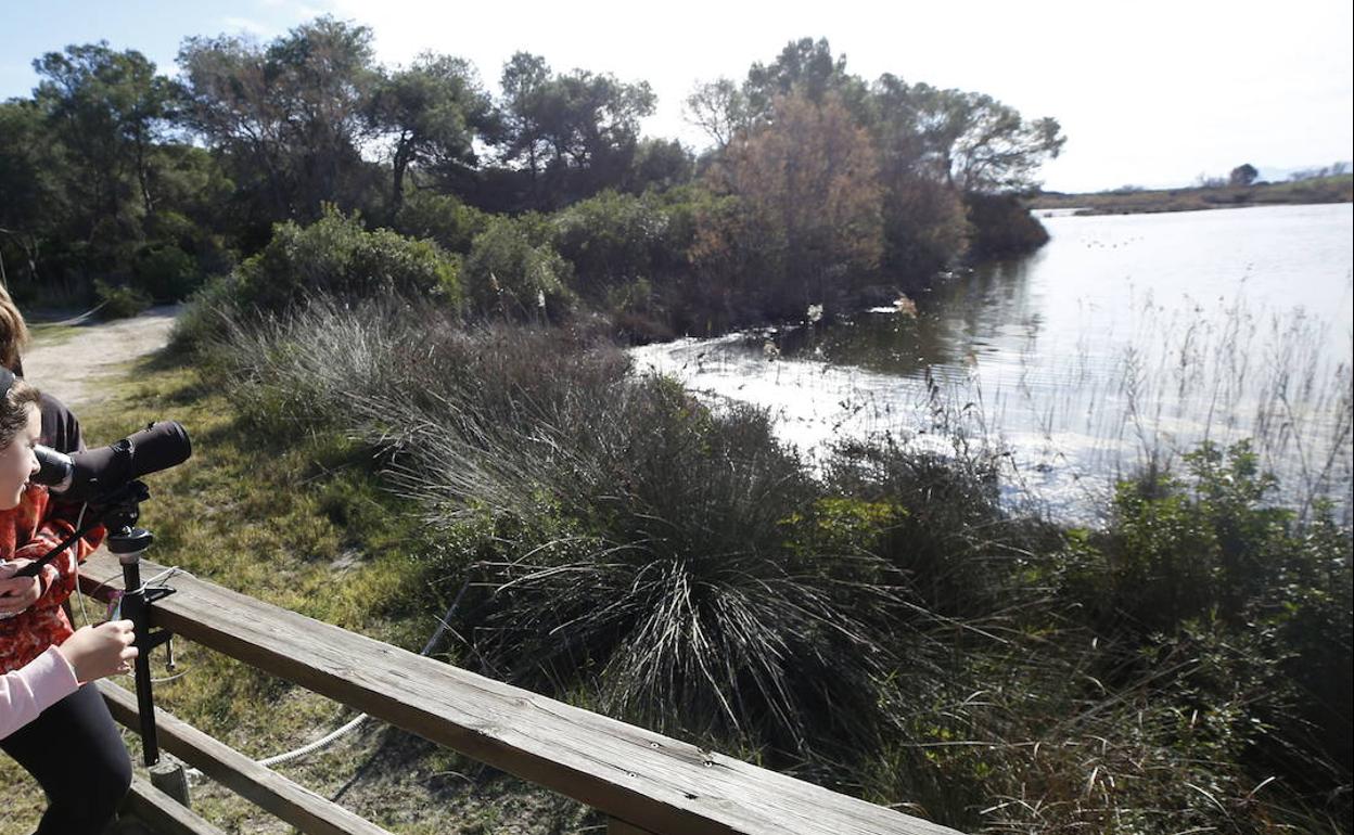 Parque Natural de la Albufera. 