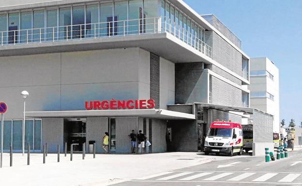 Herida en Ondara tras cochar con su coche contra un jabalí