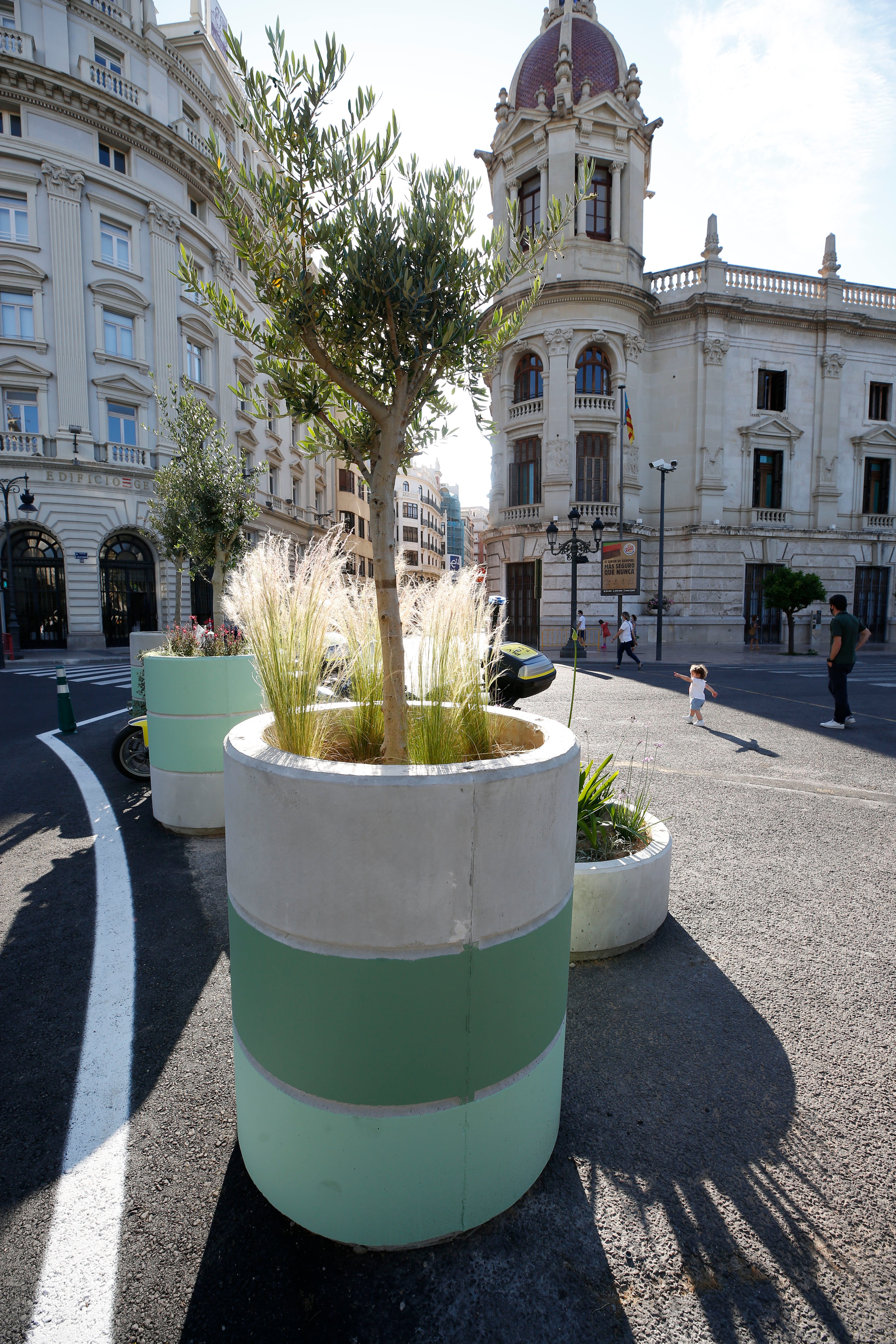 Fotos: Maceteros de la plaza del Ayuntamiento de Valencia