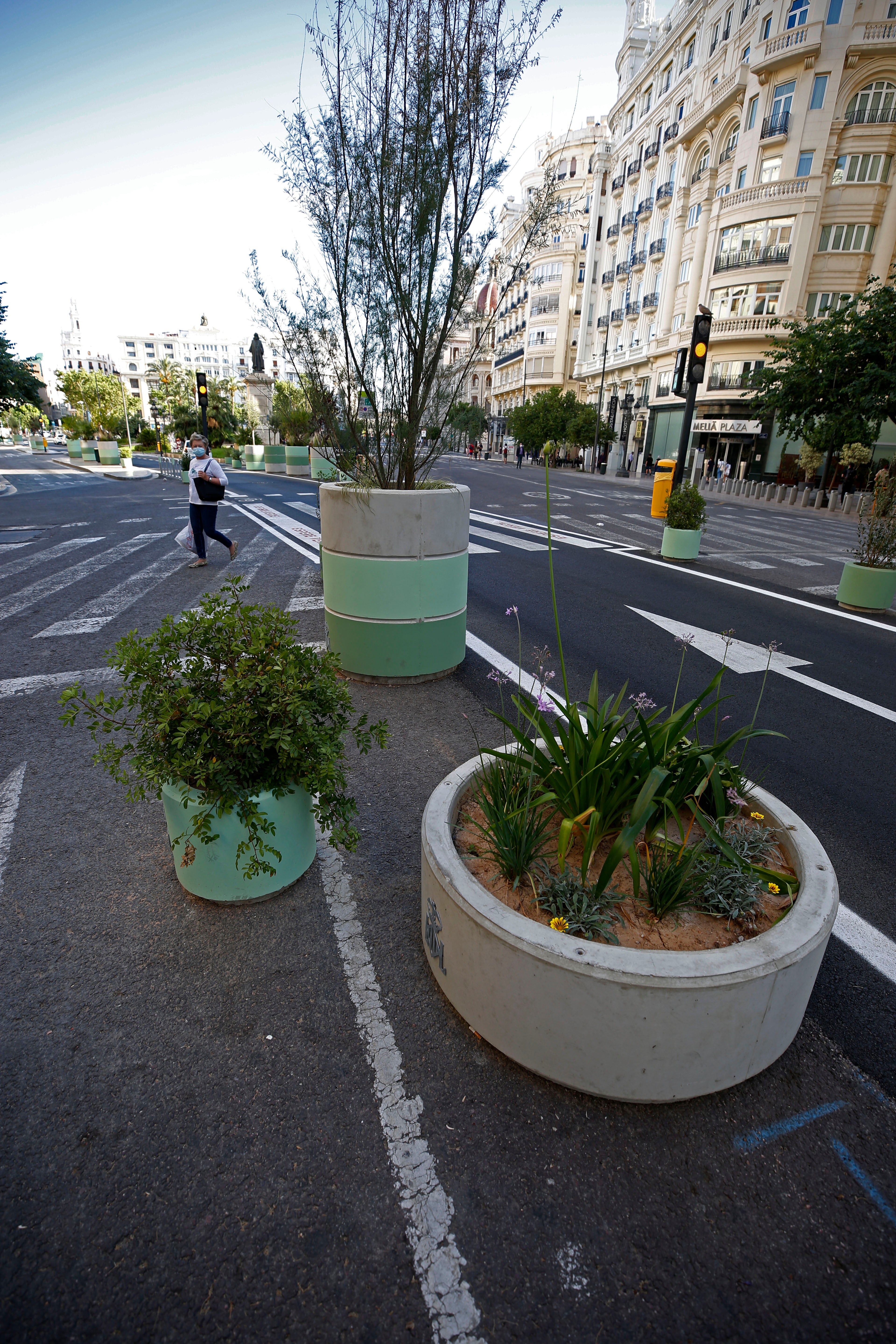 Fotos: Maceteros de la plaza del Ayuntamiento de Valencia