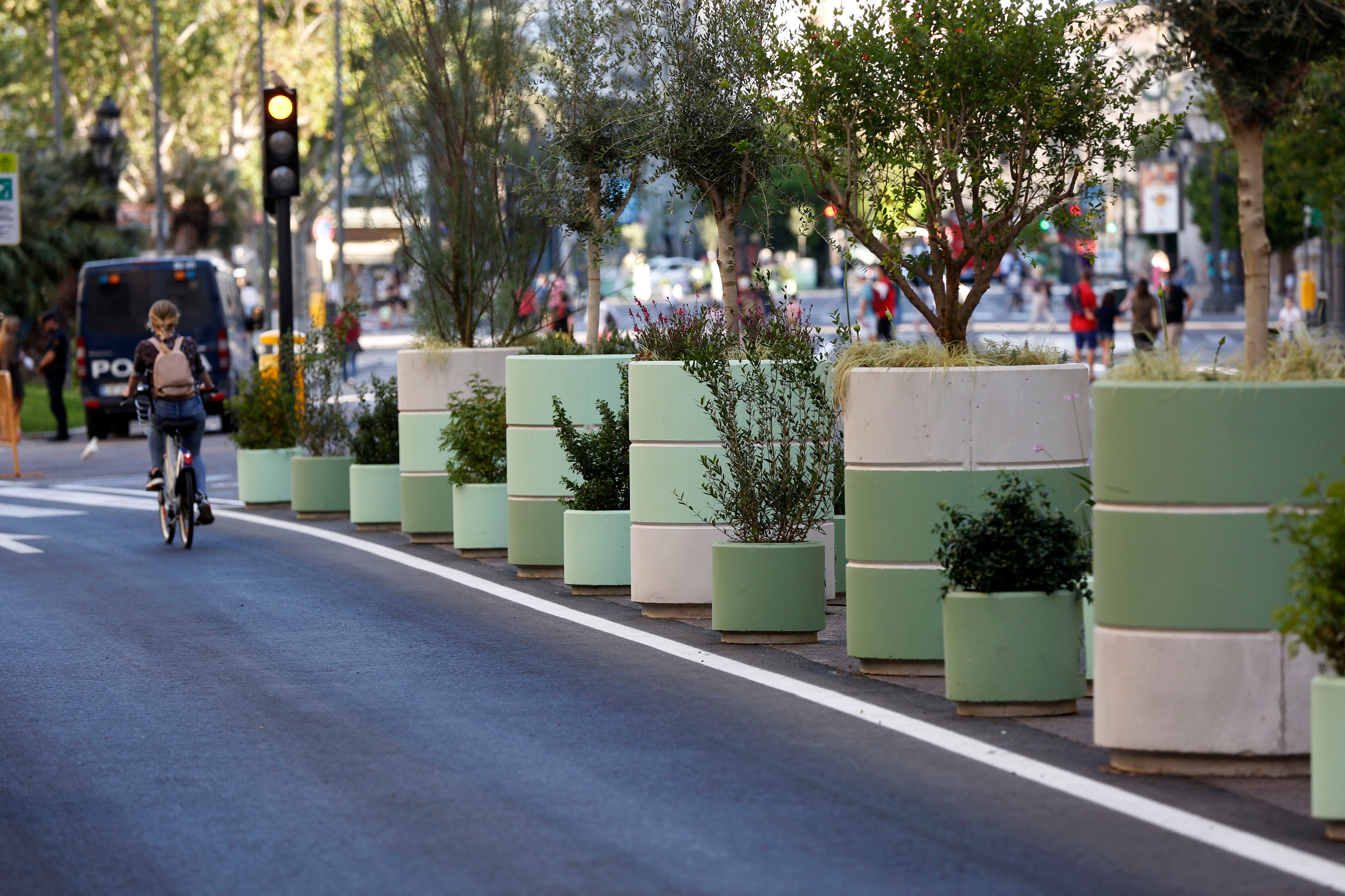 Fotos: Maceteros de la plaza del Ayuntamiento de Valencia