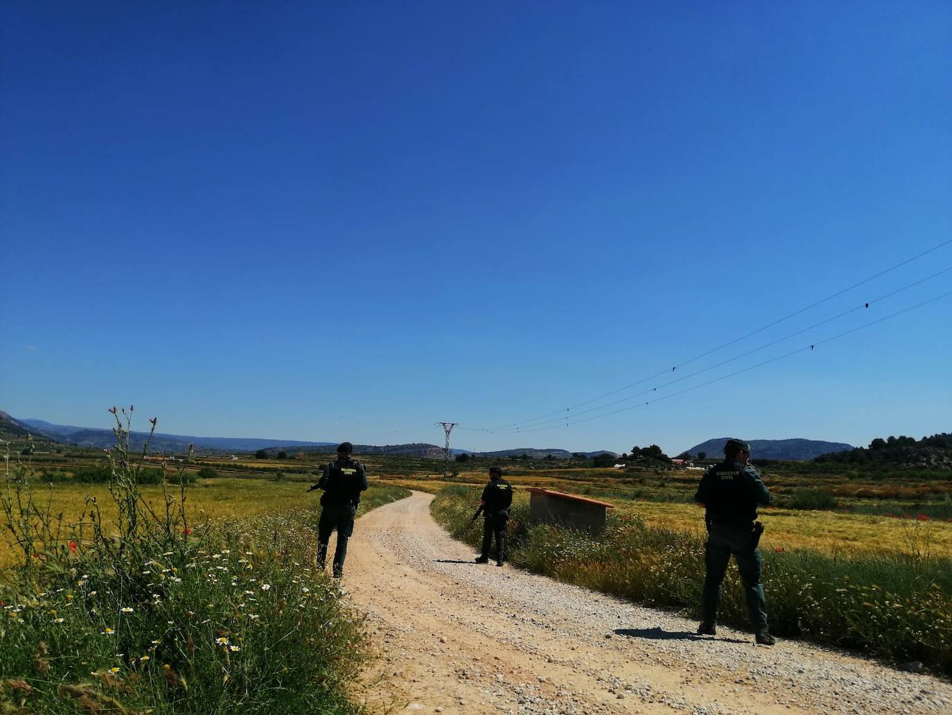 La Guardia Civil de Valencia ha pedido colaboración a los vecinos de los pueblos y aldeas de la comarca de los Serranos para localizar y detener al 'Rambo de Requena'. El operativo de búsqueda del ladrón que mantiene en jaque a los guardias civiles y policías desde hace tres meses se ha reanudado a primera hora de esta mañana. Una decena de patrullas peinan los montes de Chelva, La Sella, Higueruelas, Alpuente, Andilla y Titaguas. 