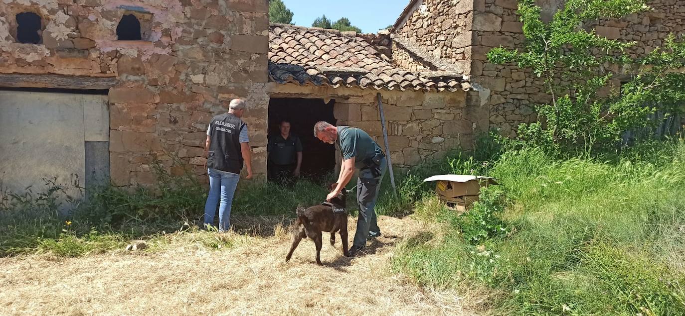 La Guardia Civil de Valencia ha pedido colaboración a los vecinos de los pueblos y aldeas de la comarca de los Serranos para localizar y detener al 'Rambo de Requena'. El operativo de búsqueda del ladrón que mantiene en jaque a los guardias civiles y policías desde hace tres meses se ha reanudado a primera hora de esta mañana. Una decena de patrullas peinan los montes de Chelva, La Sella, Higueruelas, Alpuente, Andilla y Titaguas. 