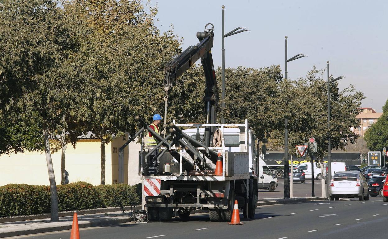 Cambio de farolas en un bulevar de Valencia. 