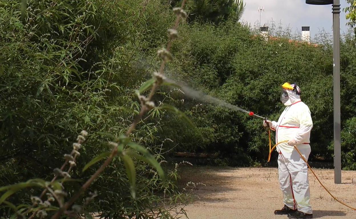 Un operario aplica el tratamiento en la vegetación. 