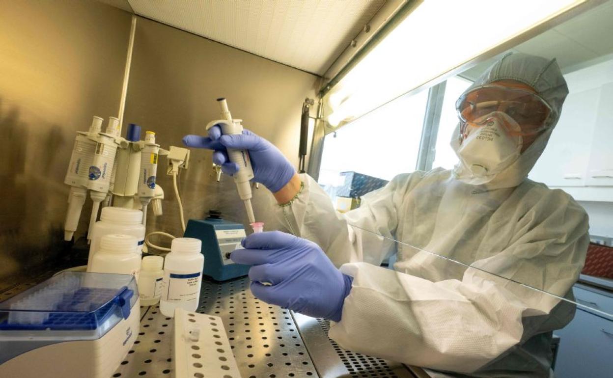 Análisis de una PCR.