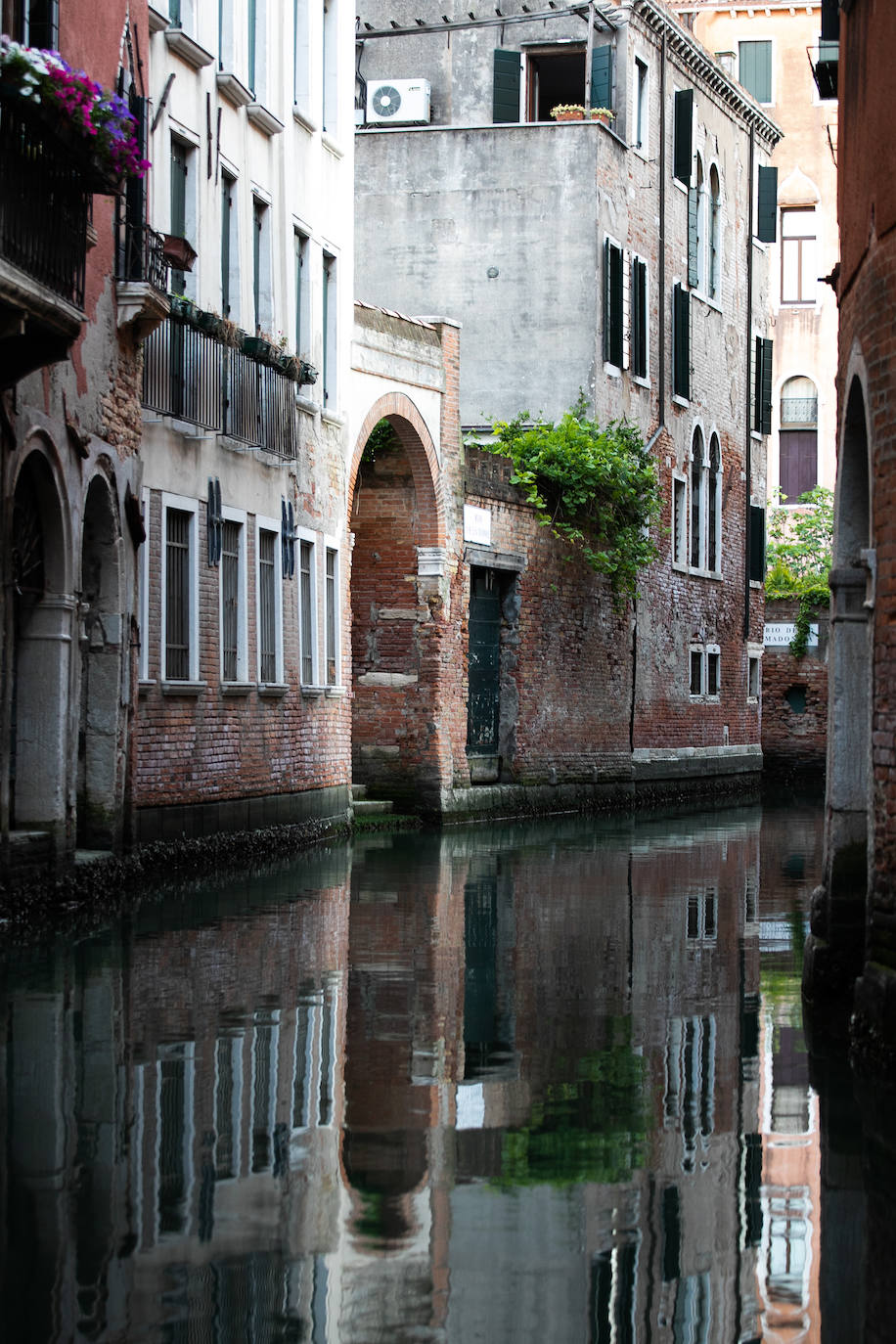 La pandemia del coronavirus dejó imágenes insólitas en una de las capitales turísticas de Europa. Recuperando poco a poco la normalidad, Venecia sigue dejando estampas únicas al atardecer.