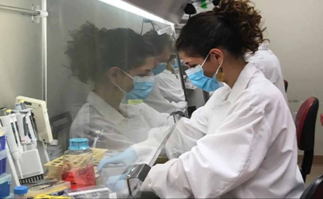 La investigadora italiana Alba Grifoni, en el laboratorio del Instituto de Inmunología de La Jolla (EE UU).
