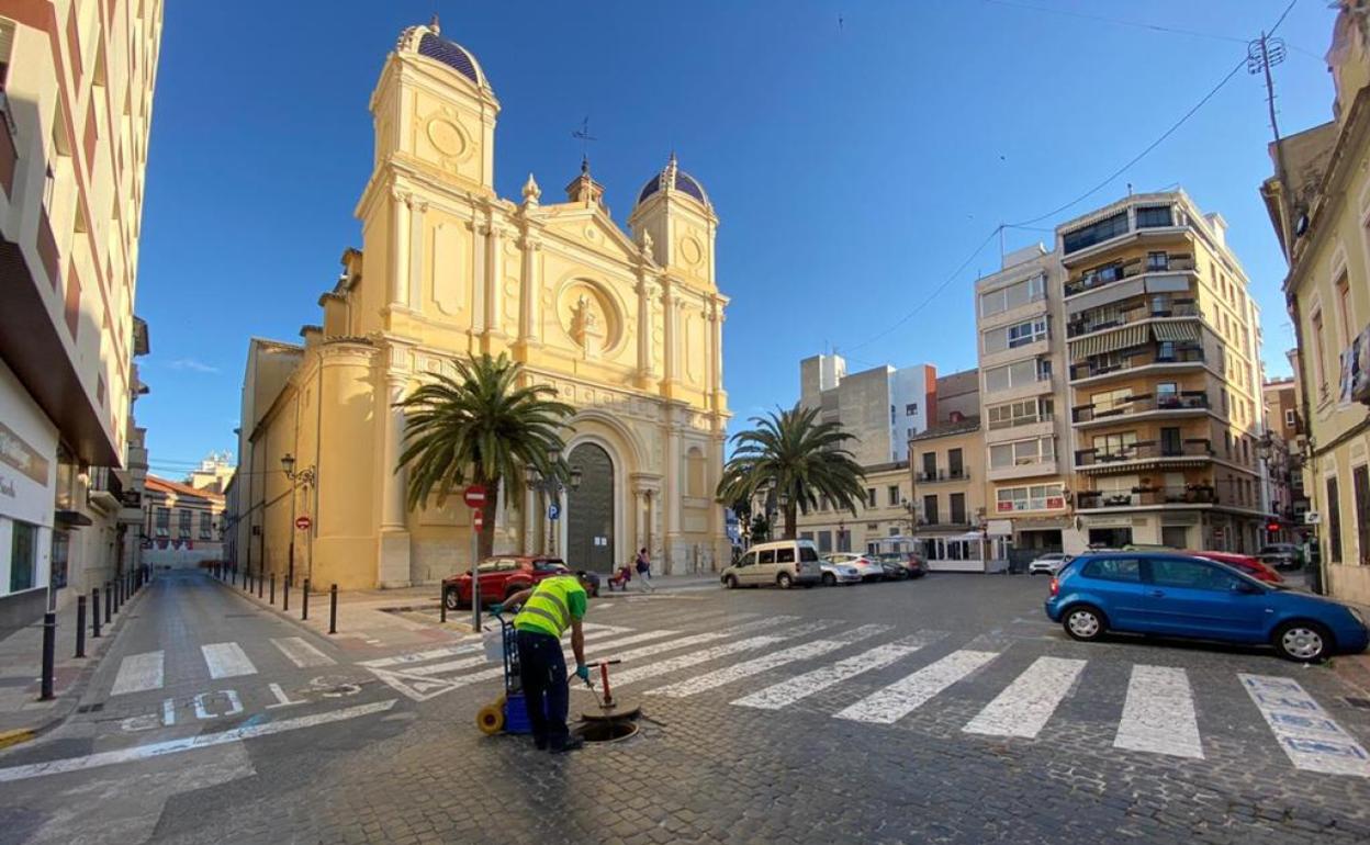 Sueca actúa de nuevo contra la proliferación de insectos y ratas en el casco urbano y la zona marítima