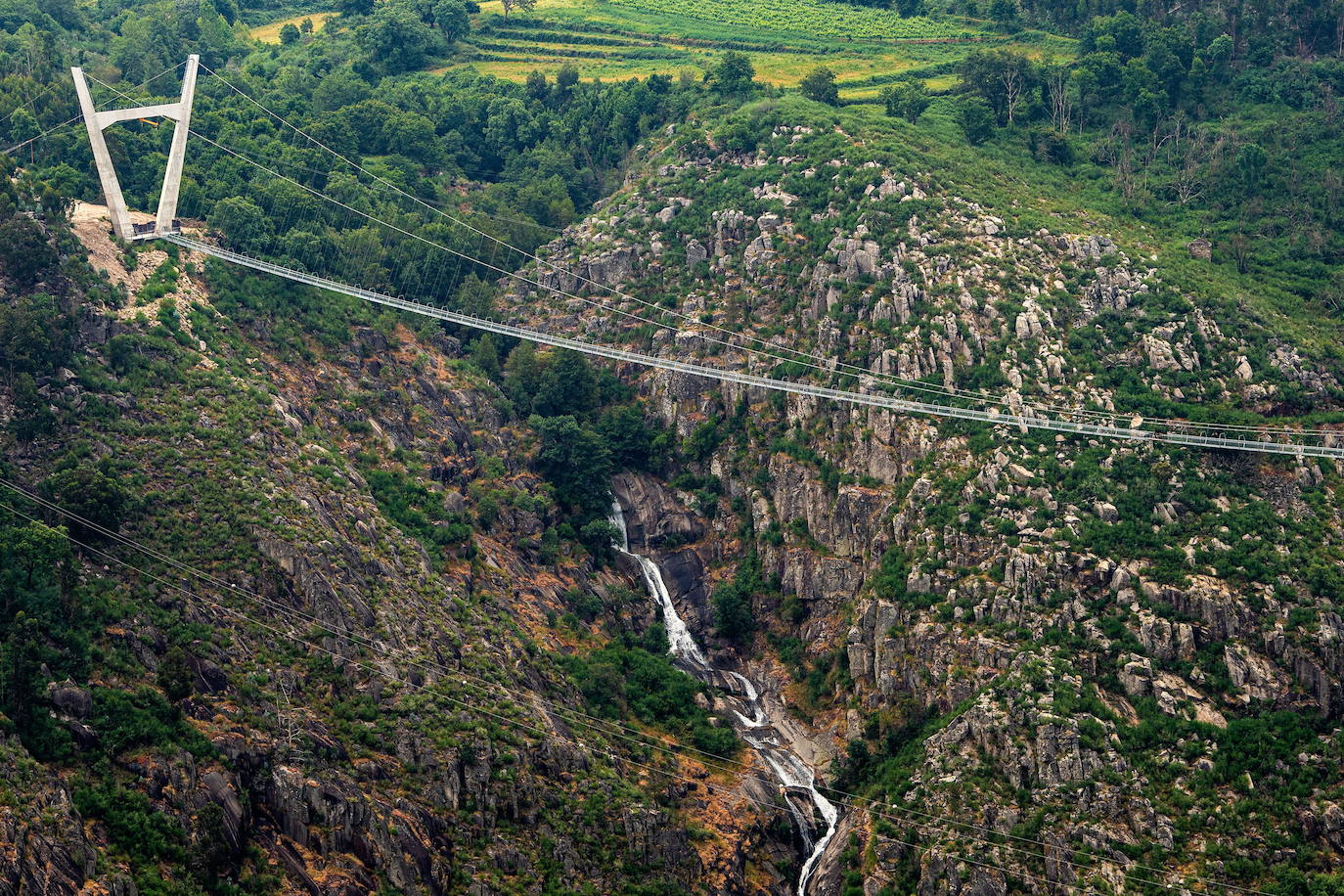 Portugal está construyendo el '516 Arouca' considerado el puente peatonal suspendido más grande del mundo con 516 metros de largo y 175 metros de alto en Arouca. Aún se encuentra en construcción, junto a las pasarelas Paiva y sostenidas por cables de acero dispuestos a 175 metros sobre el lecho del río, se prevé como una de las principales atracciones turísticas en el distrito de Aveiro. 