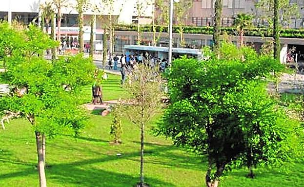 Campus de la UPV. 