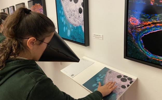 Niña con un cono para simular baja visión tocando fotografías texturizadas.