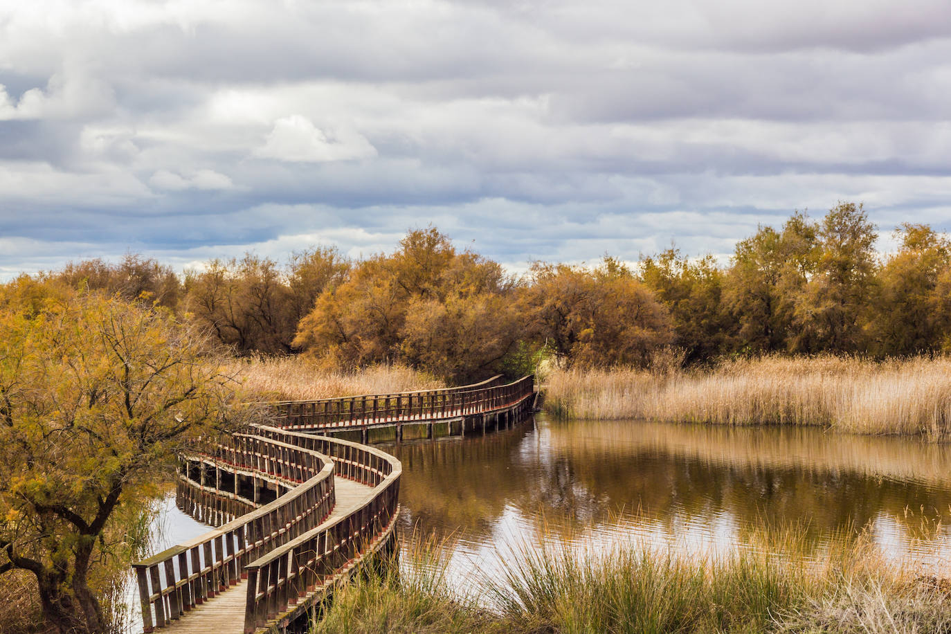 13.- Parque Nacional de las Tablas de Daimiel (Castilla-La Mancha) | Las Tablas de Daimiel son un humedal prácticamente único en Europa y último representante del ecosistema denominado tablas fluviales, antaño característico de la llanura central de nuestra Península. Es un ecosistema complejo que mezcla las características de una llanura de inundación, producida por los desbordamientos de los ríos Guadiana y Gigüela en su confluencia, con la de un área de descarga de aguas subterráneas procedentes de un acuífero de gran tamaño.
