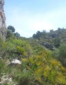 Imagen secundaria 2 - Vistas del entorno natural donde se encuentra el barranco.