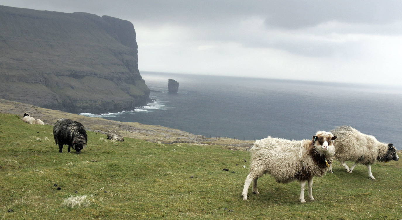 Las Islas Feroe son un destino muy diferente, Naturaleza en estado puro. Situadas al noreste de Escocia justo en el medio de Islandia y Noruega. Es un paraje verde de 1.399 kilómetros cuadrados (113 kilómetros de largo y 75 de ancho), húmedo (casi todo es costa ya que no hay ningún punto a más de 5 kilómetros del oceano) y en el que hay más ovejas (70.000 y para las que piden un especial cuidado a los turistas que viajen en sus propios coches) que habitantes (51.371), que viven en su mayoría de la pesca y la exportación de la misma. 