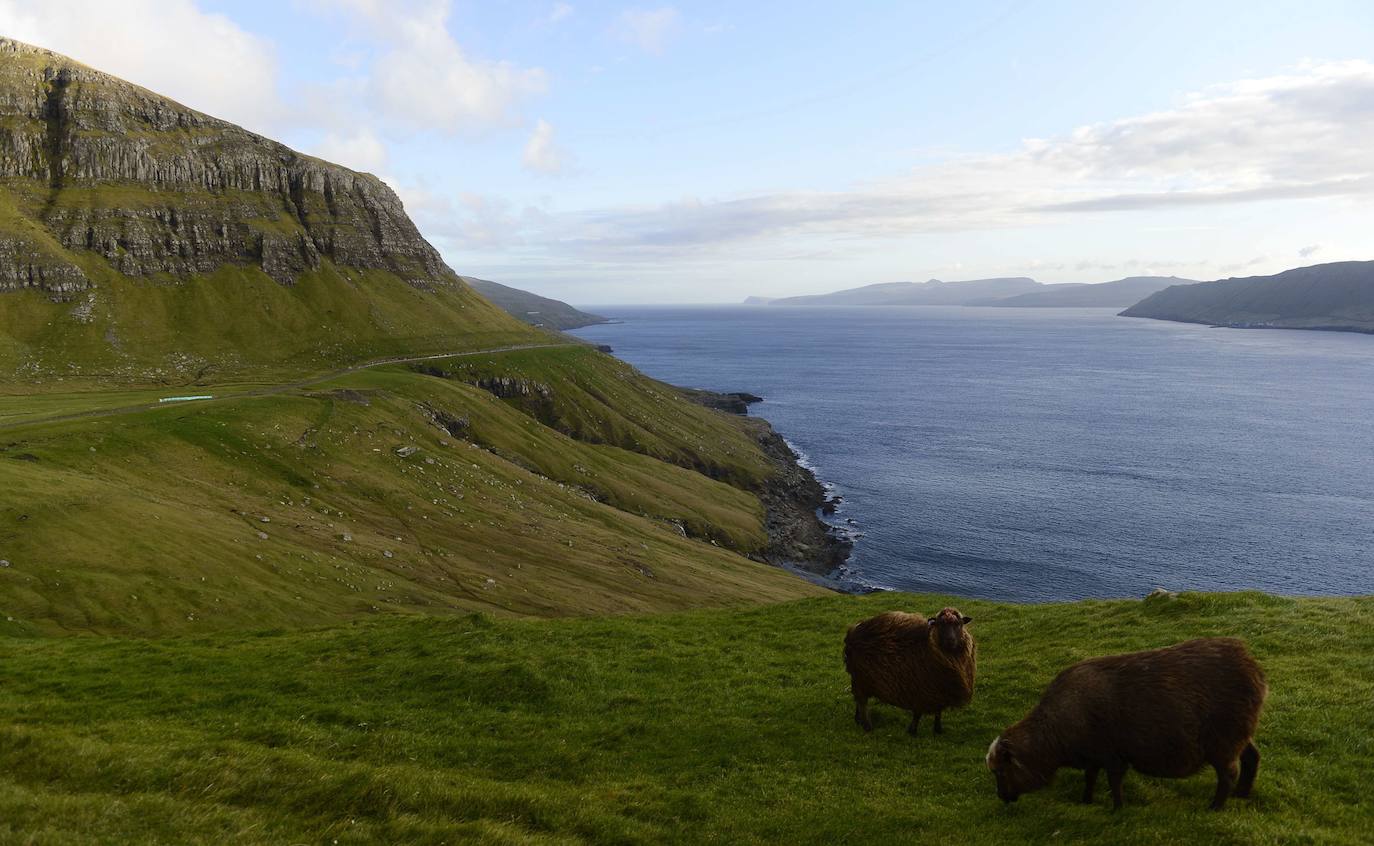 Las Islas Feroe son un destino muy diferente, Naturaleza en estado puro. Situadas al noreste de Escocia justo en el medio de Islandia y Noruega. Es un paraje verde de 1.399 kilómetros cuadrados (113 kilómetros de largo y 75 de ancho), húmedo (casi todo es costa ya que no hay ningún punto a más de 5 kilómetros del oceano) y en el que hay más ovejas (70.000 y para las que piden un especial cuidado a los turistas que viajen en sus propios coches) que habitantes (51.371), que viven en su mayoría de la pesca y la exportación de la misma. 