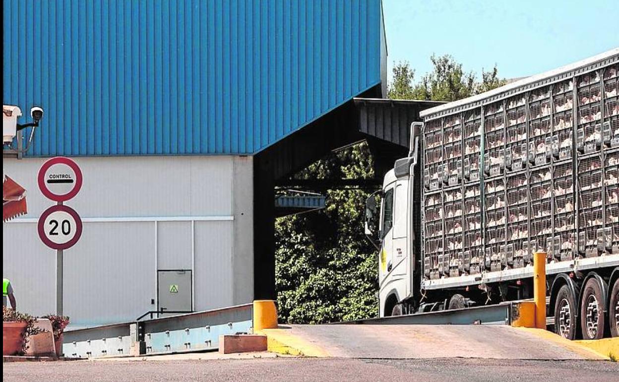 Un camión entra en la empresa cárnica.