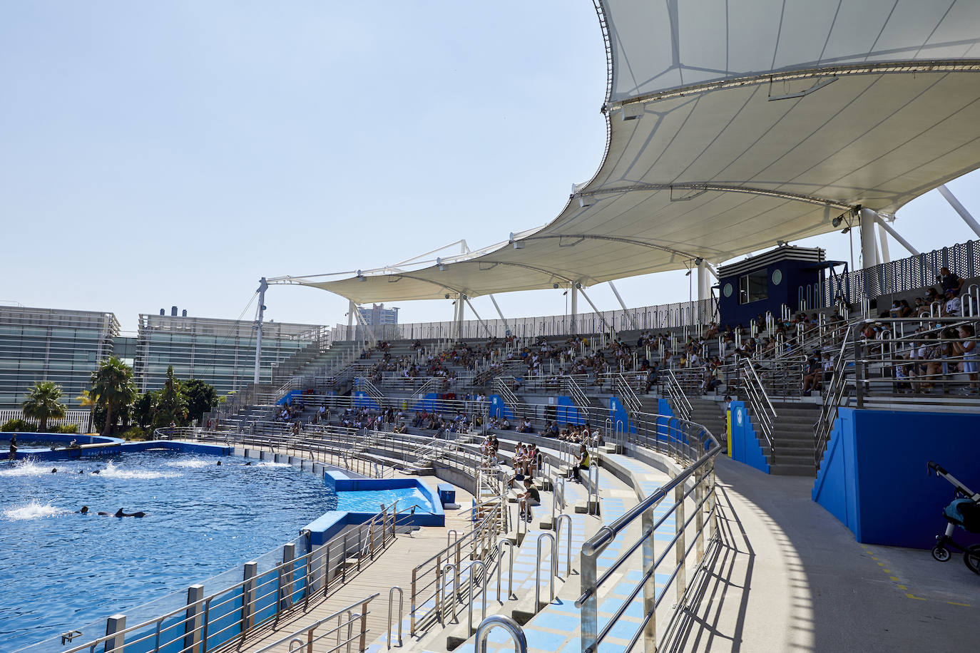 El Oceanogràfic de Valencia ha reabierto este miércoles al público después de estar 110 días cerrado por la pandemia del coronavirus, y lo ha hecho con un preventa de casi mil entradas y confiando en que las circunstancias permitan «rescatar, poco a poco, el brillo y la importancia» que tiene este parque para la Ciudad de las Artes y las Ciencias. 