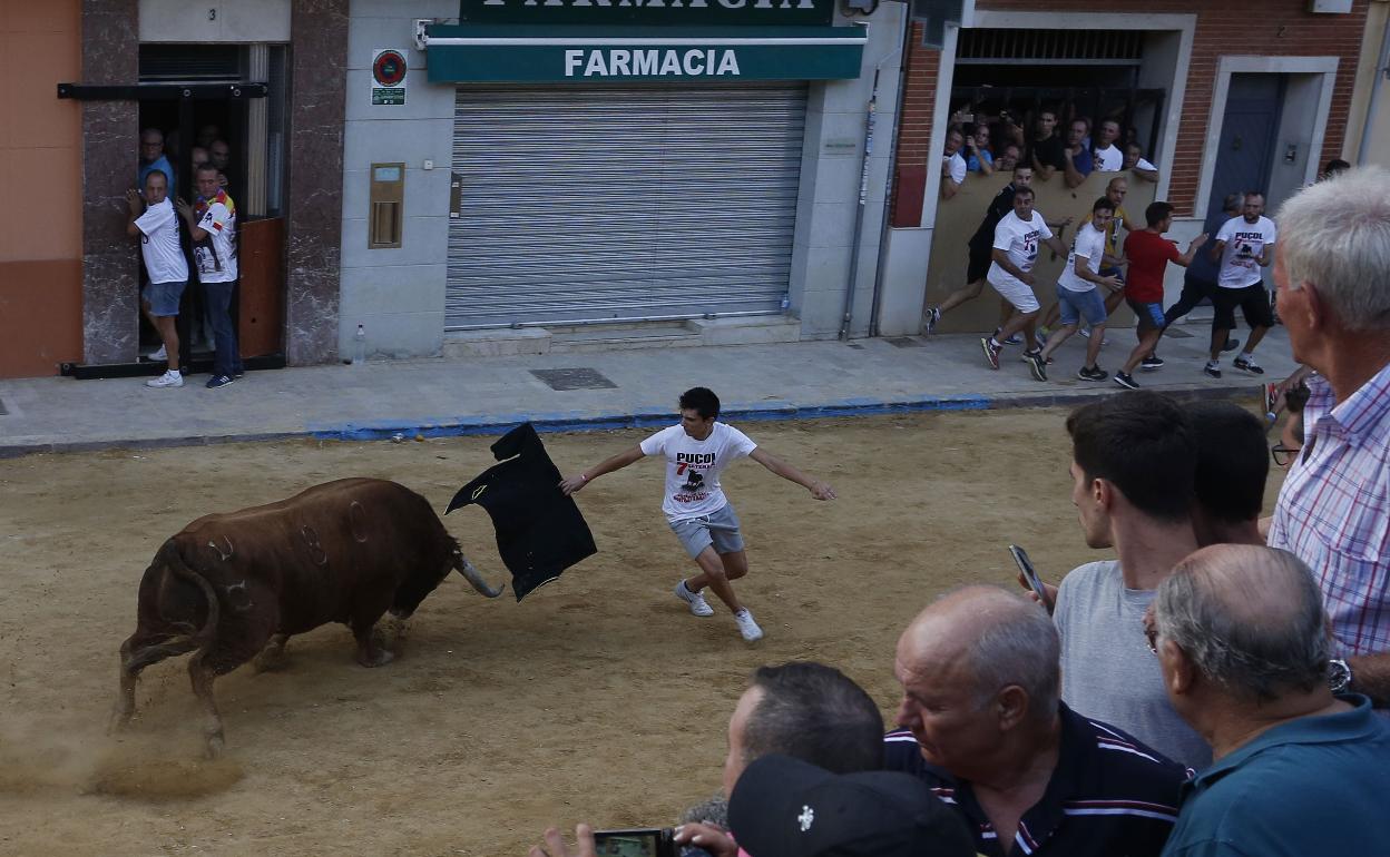 Un festejo de bous al carrer en Puçol. 