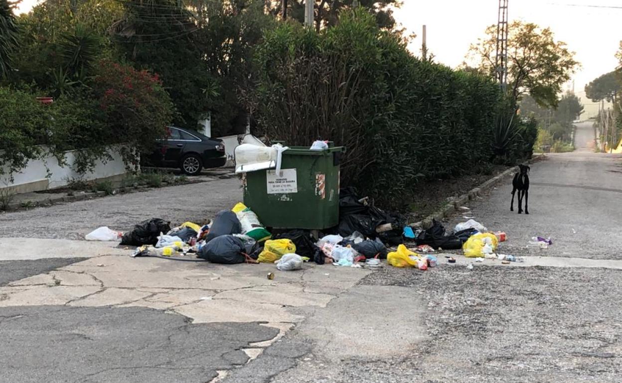 La basura se acumula junto a una de las viviendas ocupadas en Alberic. 