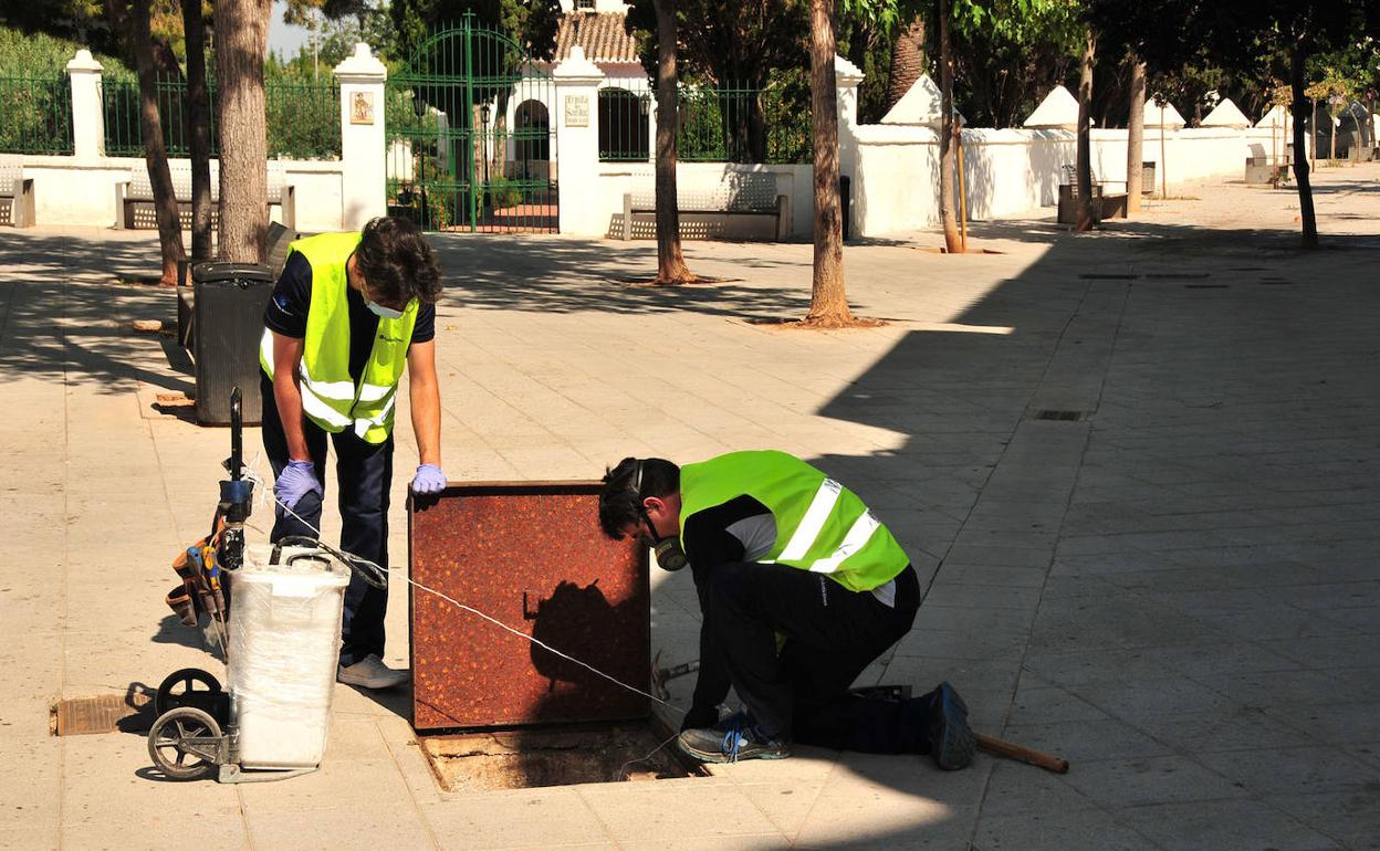 Los trabajadores aplican el tratamiento. 