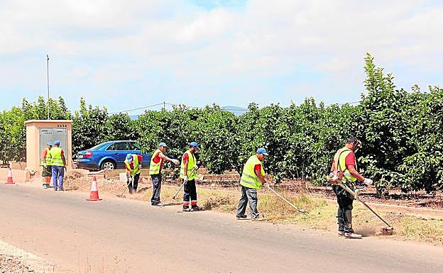Algunos de los trabajadores contratados limpiando de maleza las cunetas de los caminos.