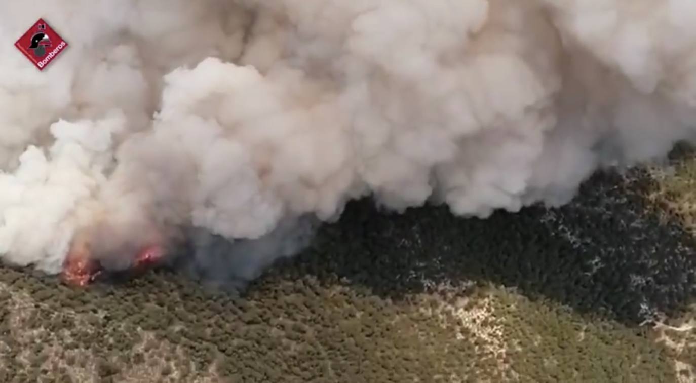 Varias dotaciones de bomberos trabajan para extinguir el fuego que afecta a la localidad alicantina.