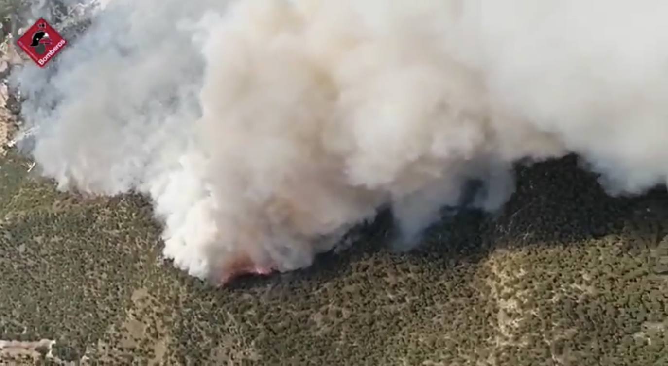 Varias dotaciones de bomberos trabajan para extinguir el fuego que afecta a la localidad alicantina.