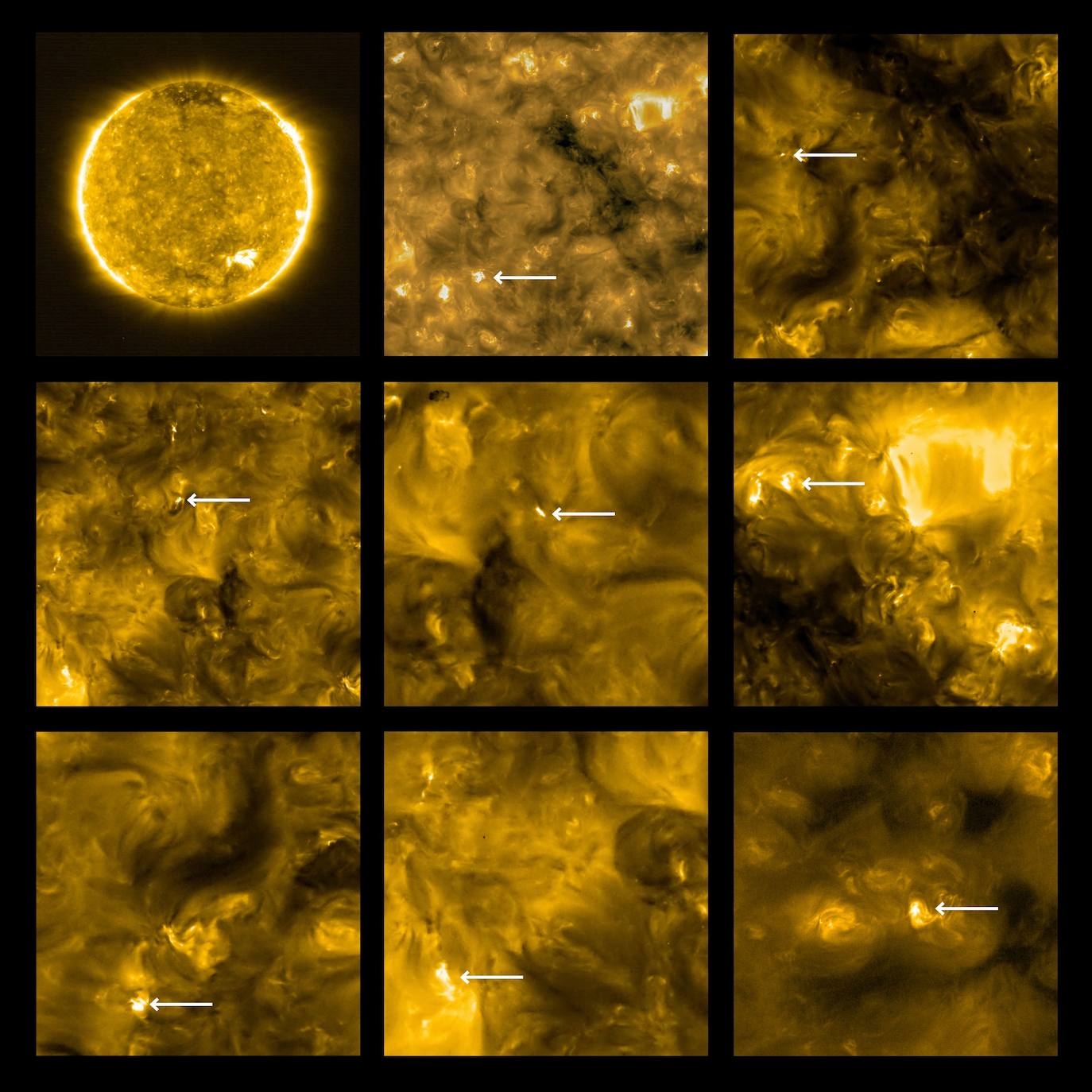 La Universidad Politécnica de Valencia participa en el primer mapa magnético de la estrella desde el espacio. 