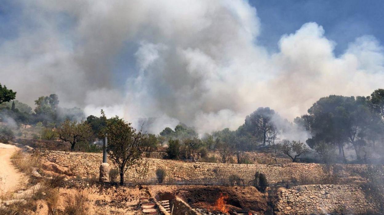 El fuego de Monòver avanza entre bancales, ayer por la tarde, cerca de la zona donde se inició por una quema junto al monte. lp