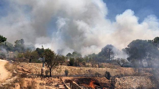 Un detenido y 30 desalojos en Monòver por el primer gran incendio forestal del verano