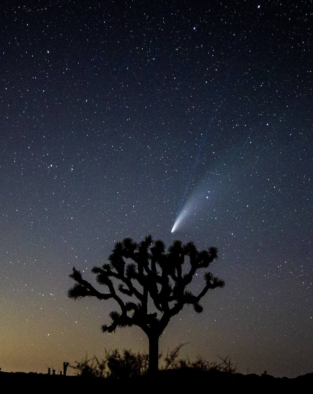 El cielo del hemisferio norte ofrece este verano un espectáculo poco habitual: el cometa 'Neowise' se puede observar a simple vista, un fenómeno que no se producía desde hace más de 20 años. Descubierto a finales de marzo por el satélite Neowise de la Nasa, el cometa comenzó a ser visible a simple vista el 3 de julio al alcanzar su perihelio, el punto de su órbita mas cercano al Sol, en este caso a 50 millones de kilómetros, explicó el lunes a la AFP Lucie Maquet, astrónoma del Observatorio de París-PSL.