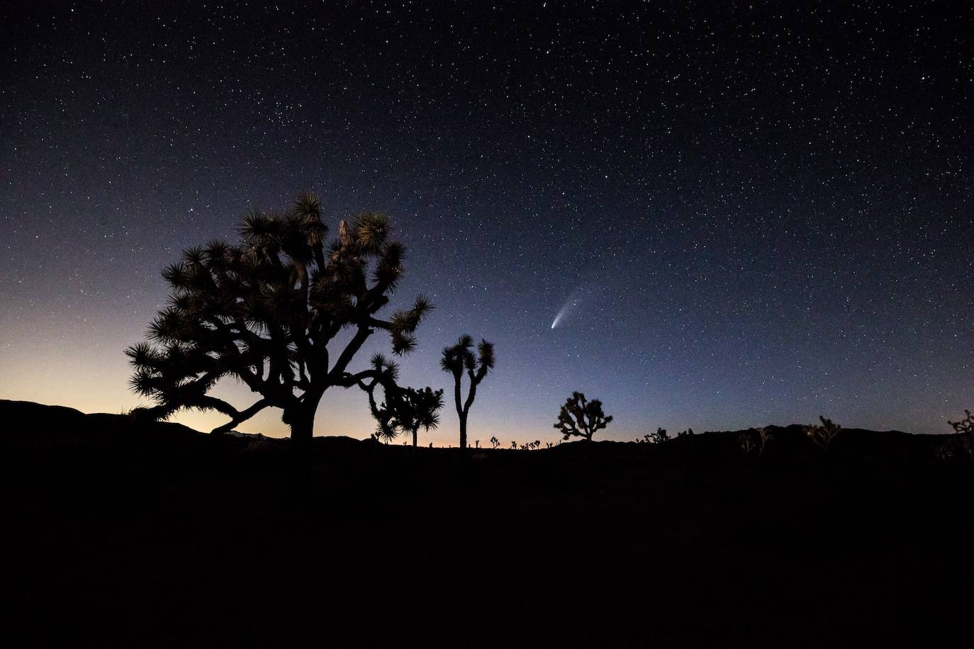 El cielo del hemisferio norte ofrece este verano un espectáculo poco habitual: el cometa 'Neowise' se puede observar a simple vista, un fenómeno que no se producía desde hace más de 20 años. Descubierto a finales de marzo por el satélite Neowise de la Nasa, el cometa comenzó a ser visible a simple vista el 3 de julio al alcanzar su perihelio, el punto de su órbita mas cercano al Sol, en este caso a 50 millones de kilómetros, explicó el lunes a la AFP Lucie Maquet, astrónoma del Observatorio de París-PSL.