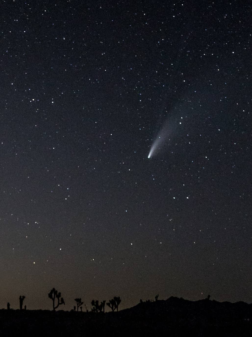 El cielo del hemisferio norte ofrece este verano un espectáculo poco habitual: el cometa 'Neowise' se puede observar a simple vista, un fenómeno que no se producía desde hace más de 20 años. Descubierto a finales de marzo por el satélite Neowise de la Nasa, el cometa comenzó a ser visible a simple vista el 3 de julio al alcanzar su perihelio, el punto de su órbita mas cercano al Sol, en este caso a 50 millones de kilómetros, explicó el lunes a la AFP Lucie Maquet, astrónoma del Observatorio de París-PSL.