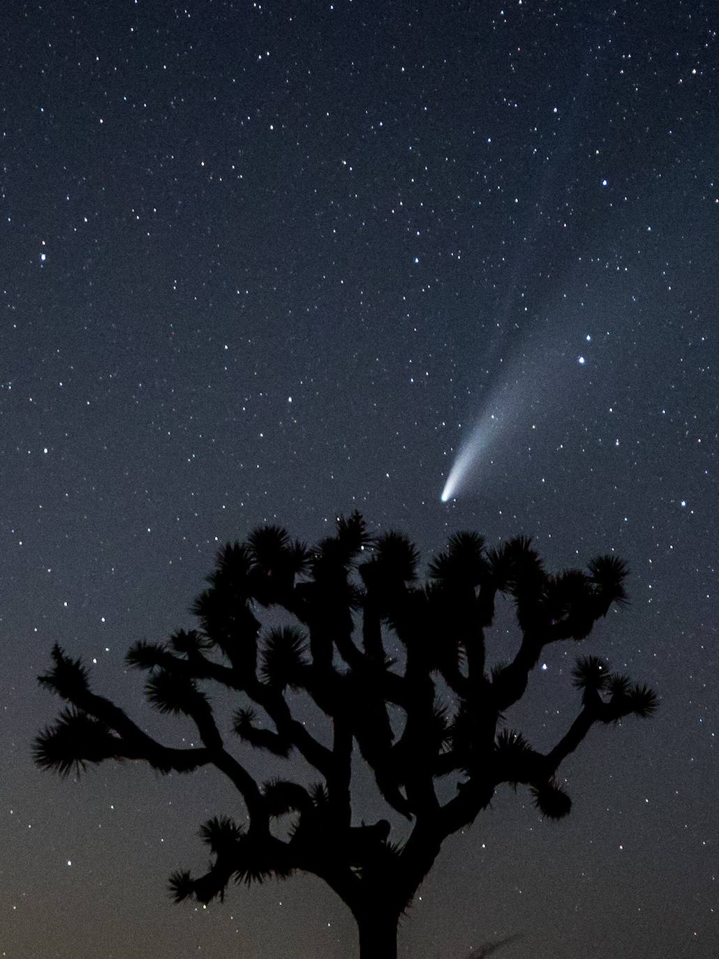 El cielo del hemisferio norte ofrece este verano un espectáculo poco habitual: el cometa 'Neowise' se puede observar a simple vista, un fenómeno que no se producía desde hace más de 20 años. Descubierto a finales de marzo por el satélite Neowise de la Nasa, el cometa comenzó a ser visible a simple vista el 3 de julio al alcanzar su perihelio, el punto de su órbita mas cercano al Sol, en este caso a 50 millones de kilómetros, explicó el lunes a la AFP Lucie Maquet, astrónoma del Observatorio de París-PSL.