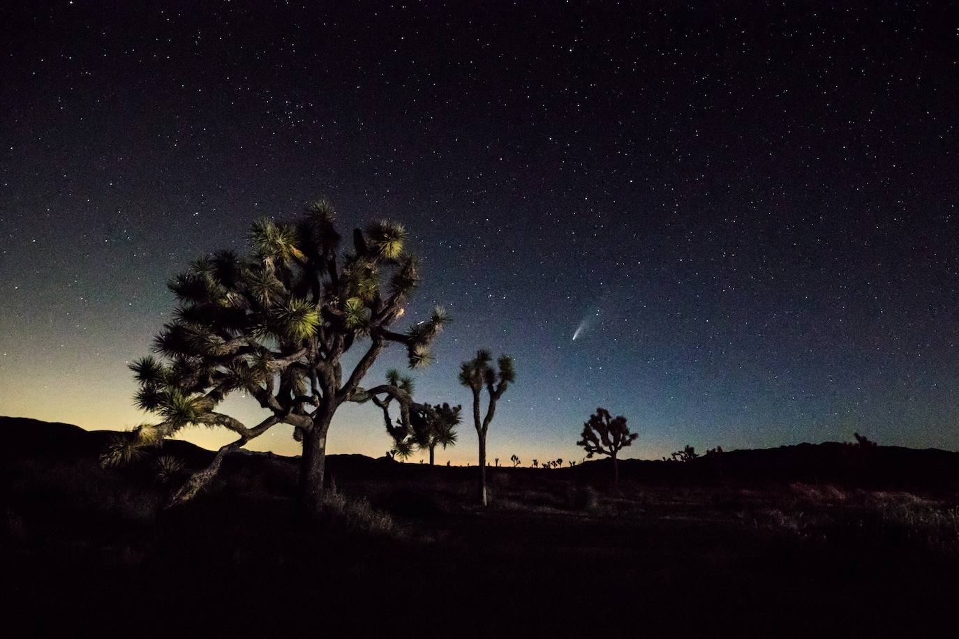 El cielo del hemisferio norte ofrece este verano un espectáculo poco habitual: el cometa 'Neowise' se puede observar a simple vista, un fenómeno que no se producía desde hace más de 20 años. Descubierto a finales de marzo por el satélite Neowise de la Nasa, el cometa comenzó a ser visible a simple vista el 3 de julio al alcanzar su perihelio, el punto de su órbita mas cercano al Sol, en este caso a 50 millones de kilómetros, explicó el lunes a la AFP Lucie Maquet, astrónoma del Observatorio de París-PSL.