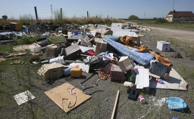 Imagen principal - Residuos y basura en la Albufera.