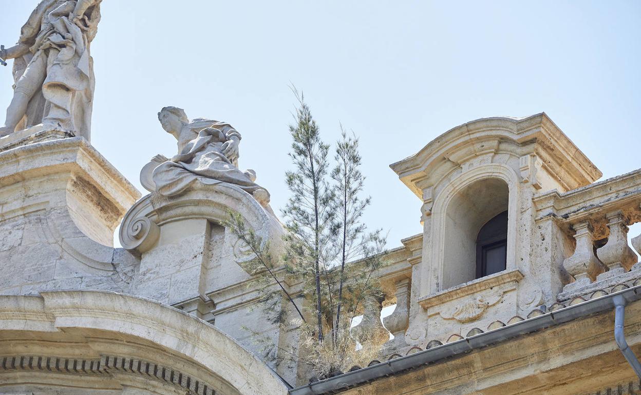 Árbol en el remate de la fachada del Palacio de Justicia. 