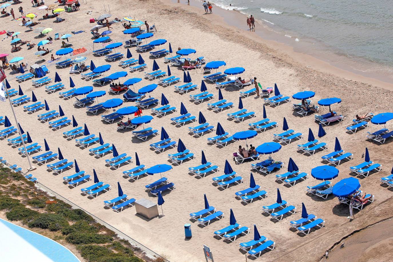 Las imágenes que ayer, el primer día de agosto, y de los últimos días de julio, mostraban la playa de Levante de Benidorm eran absolutamente inusuales para esta época del año. Con hamacas y parasoles vacíos y amplios espacios sin ocupar. 