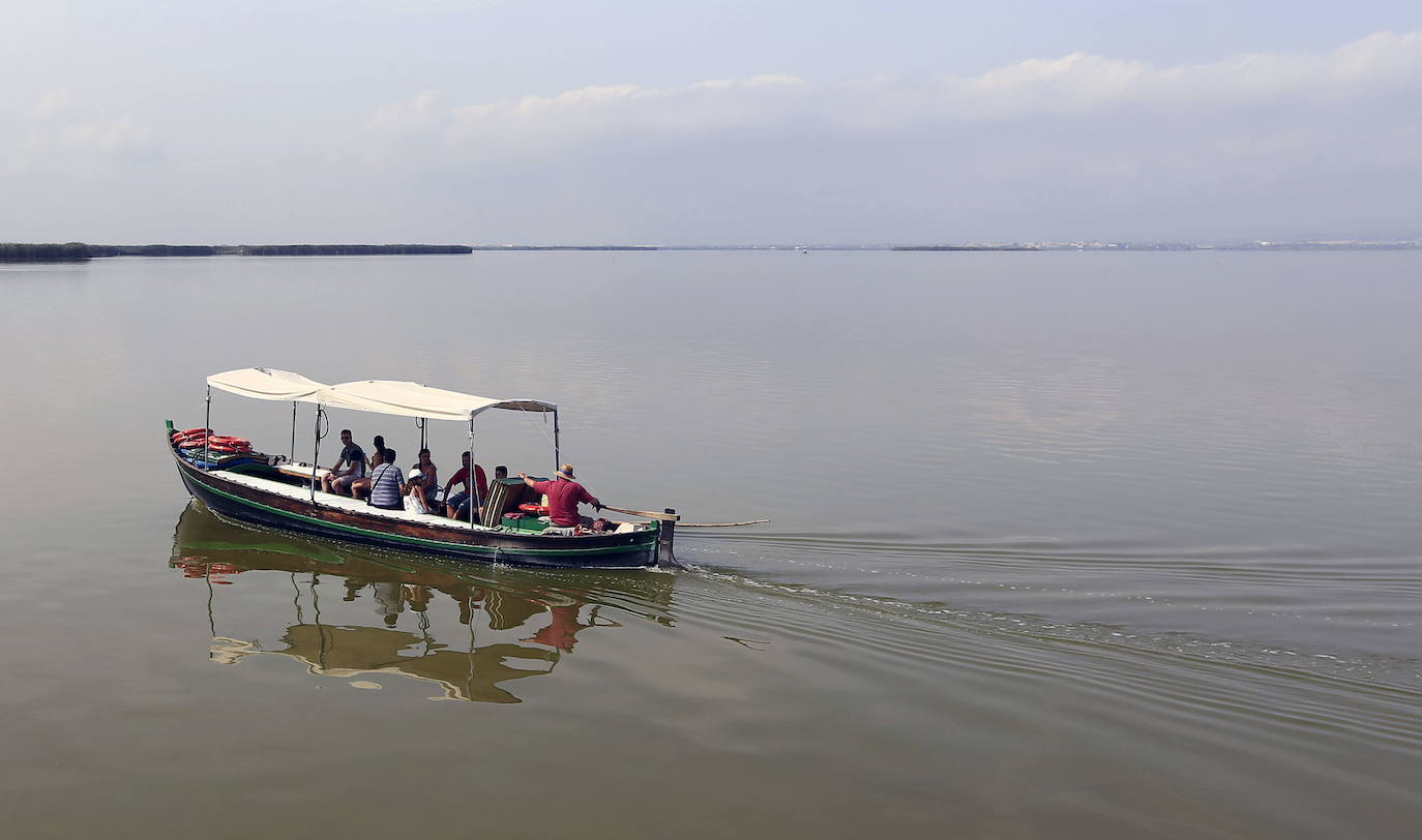 Hace un año las barcas se podían llenar, sin riesgo alguno y se podía disfrutar al completo de las idílicas escenas que deja este rincón de Valencia.