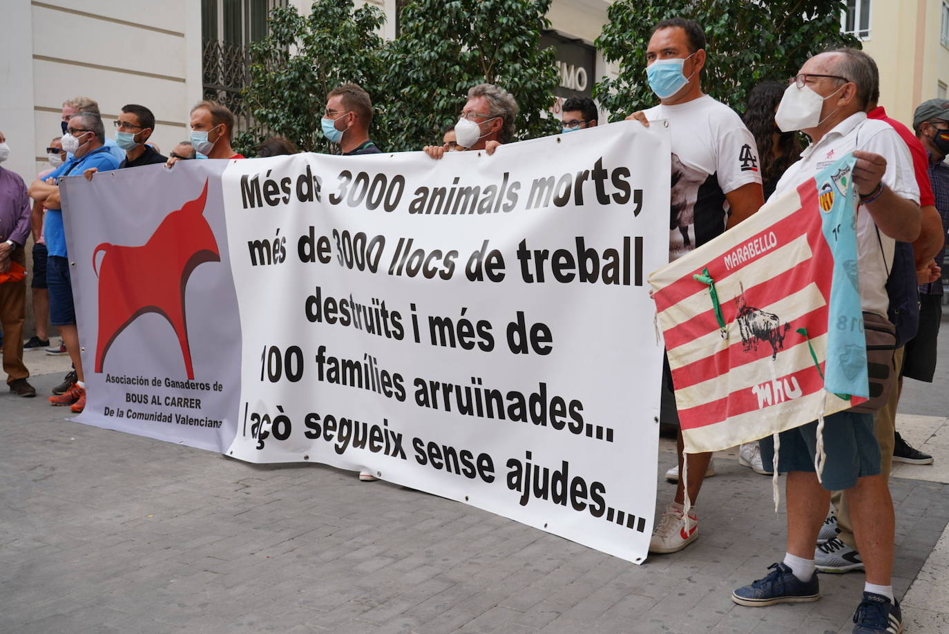 La Asociación de Ganaderos de Bous al Carrer de la Comunitat, junto a Ava-Asaja y La Unió de Llauradors, se concentra para reclamar a la Generalitat medidas de auxilio que eviten el sacrificio de más animales debido a la cancelación de festejos taurinos por el coronavirus.