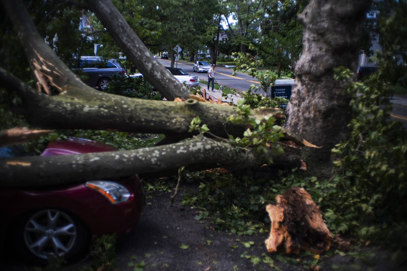 Al menos cuatro personas murieron a raíz de la tormenta tropical Isaías, que barría este miércoles la costa este de Estados Unidos con fuertes vientos y lluvias, dejando a unos tres millones de habitantes sin electricidad. El huracán causaba estragos, tapizando las calles de escombros, cerrando carreteras y obligando a cancelar de decenas de vuelos. Las autoridades de Nueva York instalaron diques de protección en el bajo Manhattan en previsión de un aumento en los niveles del agua. 