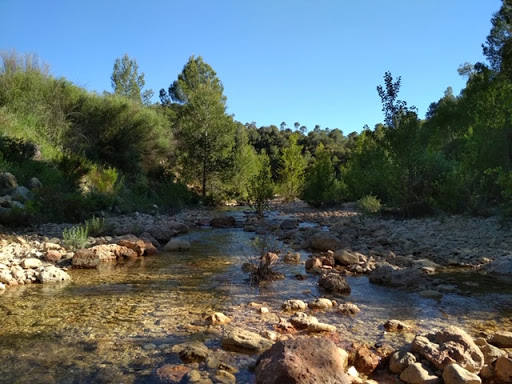 40. Estrecho del sabinar, Ayora (Valencia).