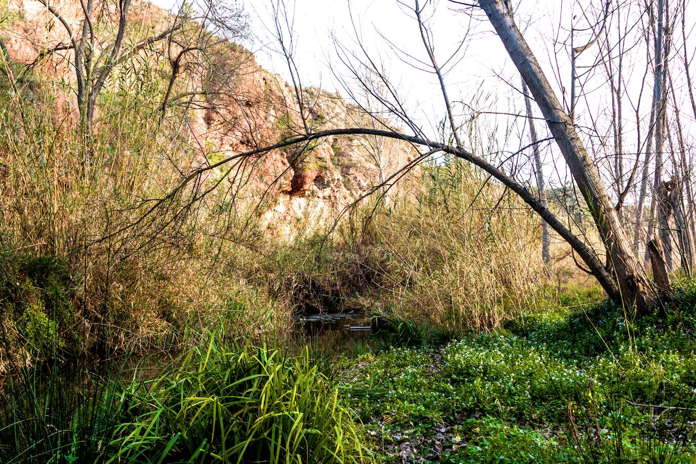 47. Ruta de los molinos, Alborache (Valencia).