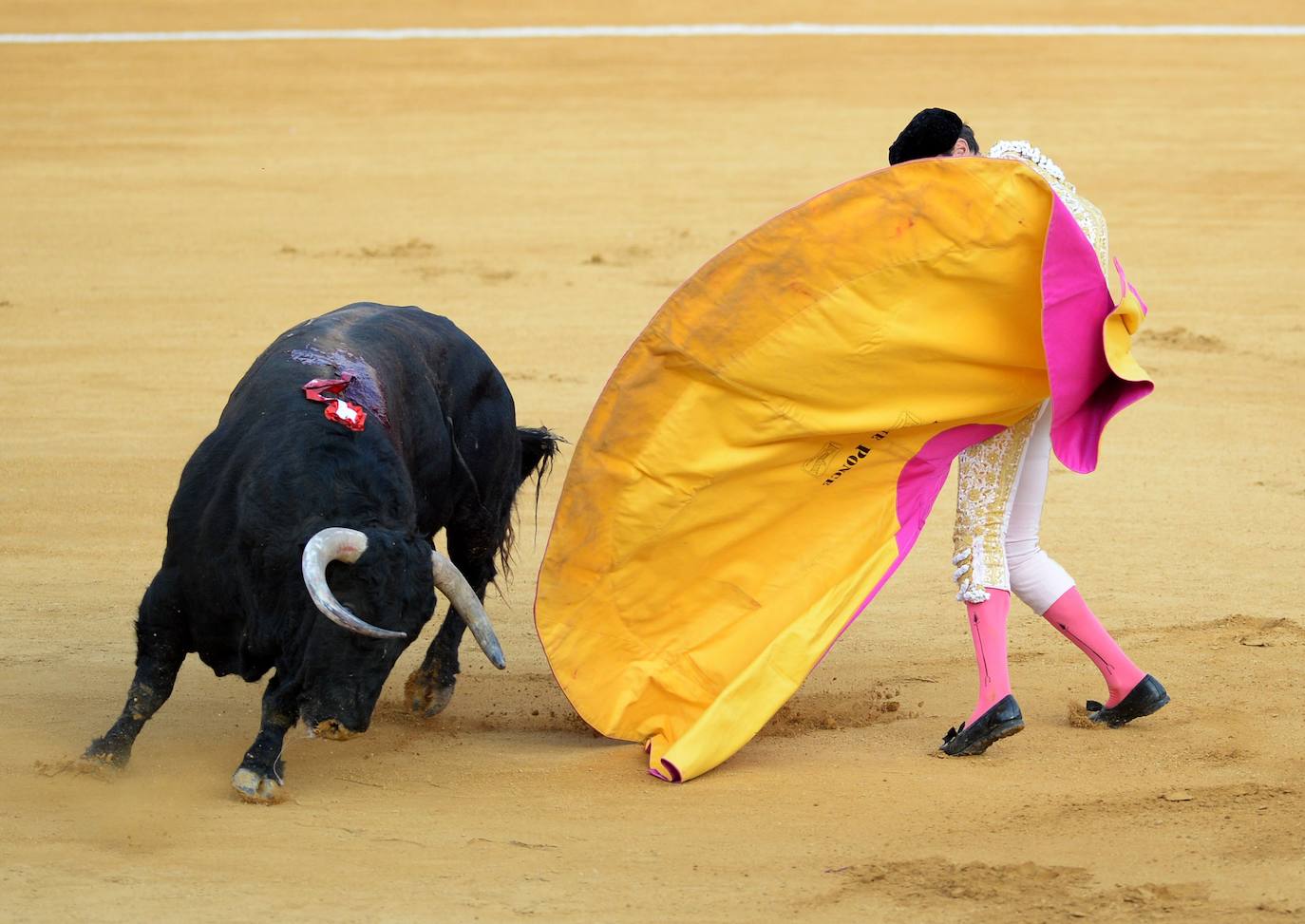 Enrique Ponce sufrió este jueves un susto en El Puerto de Santa María. Su primer toro de la tarde le dio un revolcón -afortunadamente sin consecuencias- al entrar a matar. En el tendido, como testigo, su nueva pareja sentimental, Ana Soria. La joven reaccionó con temor ante las consecuencias de la cogida. El diestro de Chiva se dirigió hacia ella para tranquilizarla tras rematar la faena. 